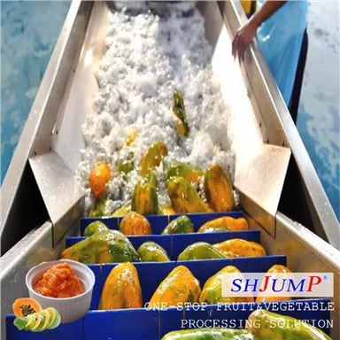 پپیتا پیوری پروسیسنگ لائن